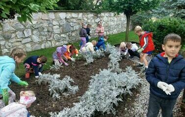 Dzieci z Zespołu Szkolno - Przedszkolnego w Przewornie sadzą cebulki żonkili.