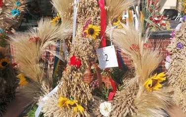 Wieniec dożynkowy