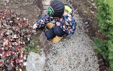 Na zdjęciu znajduje się chłopiec sadzący żonkile. 