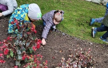 Na zdjęciu znajdują się dzieci, kt&oacute;re sadzą żonkile. 
