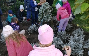 Dzieci sadzące żonkile.