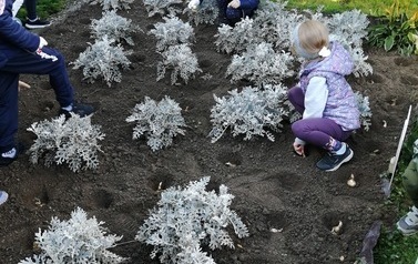 Dzieci sadzące żonkile.