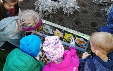 Dzieci sadzące żonkile. 