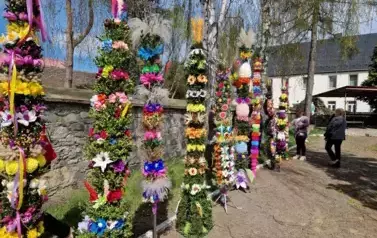 Zdjęcie przedstawia palmy zgłoszone do Gminnego Konkursu Palm Wielkanocnych.