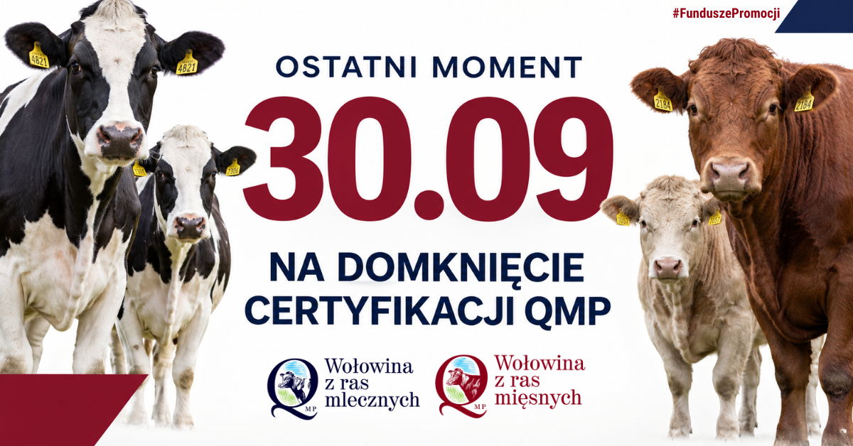 Szanowni Państwo,     w&nbsp;związku ze zbliżającym się terminem uzyskania certyfikatu QMP (30  września 2026 r.) przesyłamy w&nbsp;załączeniu grafikę i&nbsp;proponowaną treść  kr&oacute;tkiego komunikatu skierowanego do rolnik&oacute;w.  Uprzejmie prosimy o&nbsp;zamieszczenie komunikatu na&nbsp;Państwa stronie  internetowej lub&nbsp;w social mediach &mdash; zależy nam, aby informacja dotarła do  jak największej liczby rolnik&oacute;w przed upływem terminu.     W razie pytań pozostajemy do dyspozycji.     Z poważaniem     Katarzyna Wieczorek  Project Manager  Polskie Zrzeszenie Producent&oacute;w Bydła Mięsnego  ul. Smulikowskiego 4  00-389 Warszawa  Tel: 515 575 705  Treść tej wiadomości i&nbsp;jej załączniki są poufne i&nbsp;prawnie chronione. Jeśli  nie jesteś właściwym adresatem (lub otrzymałeś tę wiadomość na&nbsp;skutek  pomyłki), prosimy o&nbsp;tym fakcie niezwłocznie poinformować nadawcę i&nbsp;usunąć  otrzymaną wiadomość. Kopiowanie, ujawnianie lub&nbsp;rozpowszechnianie załączonej informacji bez  zgody nadawcy jest zabronione.
