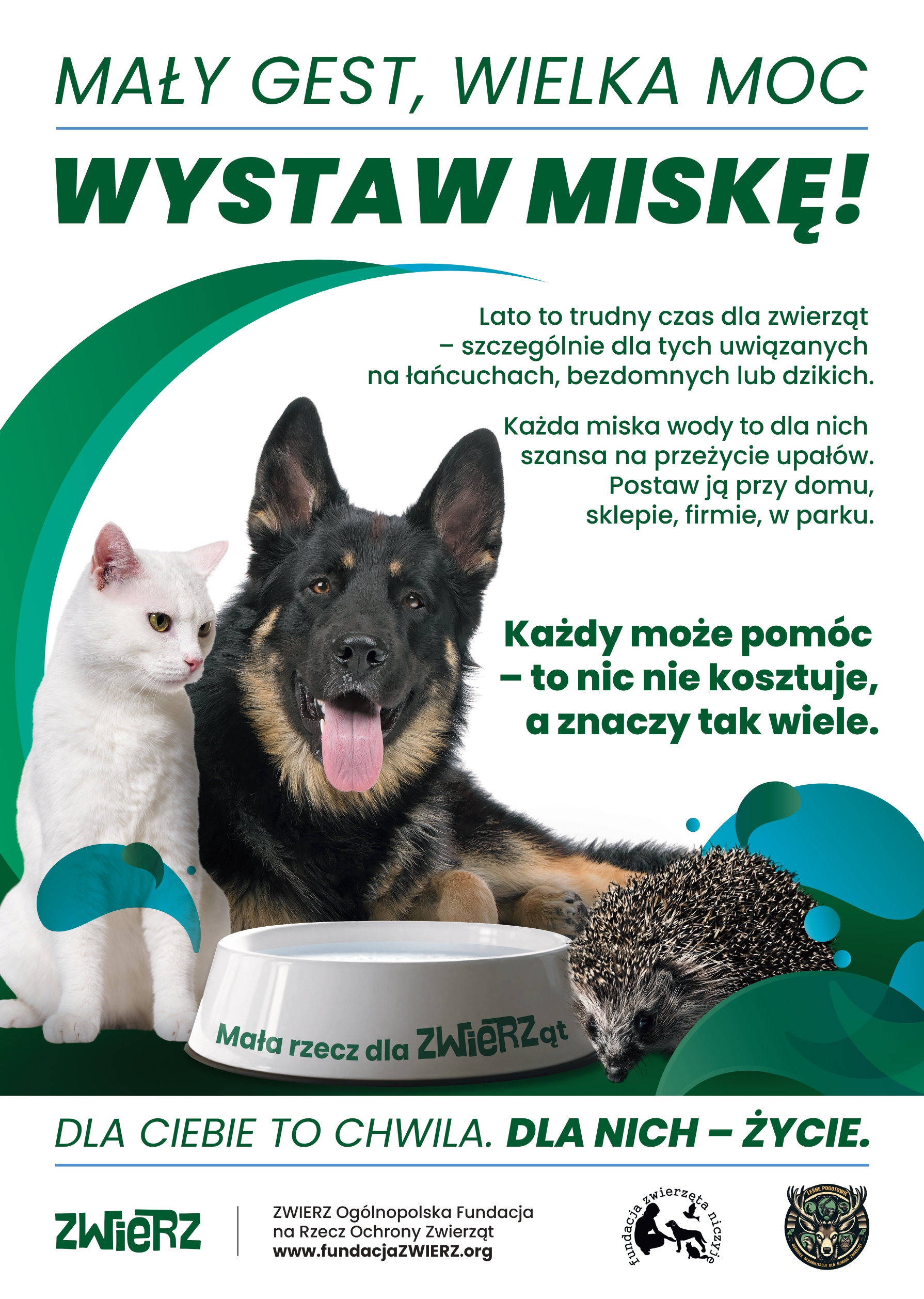Kampania społeczna &bdquo;Mały gest, wielka moc &ndash; wystaw miskę!&rdquo;