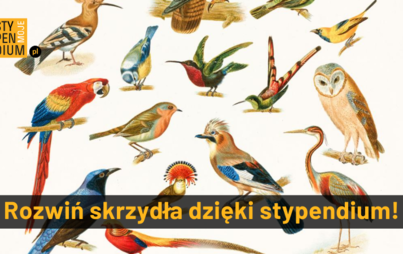 Zdjęcie do Fundacja Dobra Sieć - MojeStypendium.pl