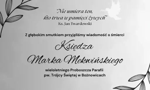Zdjęcie do  