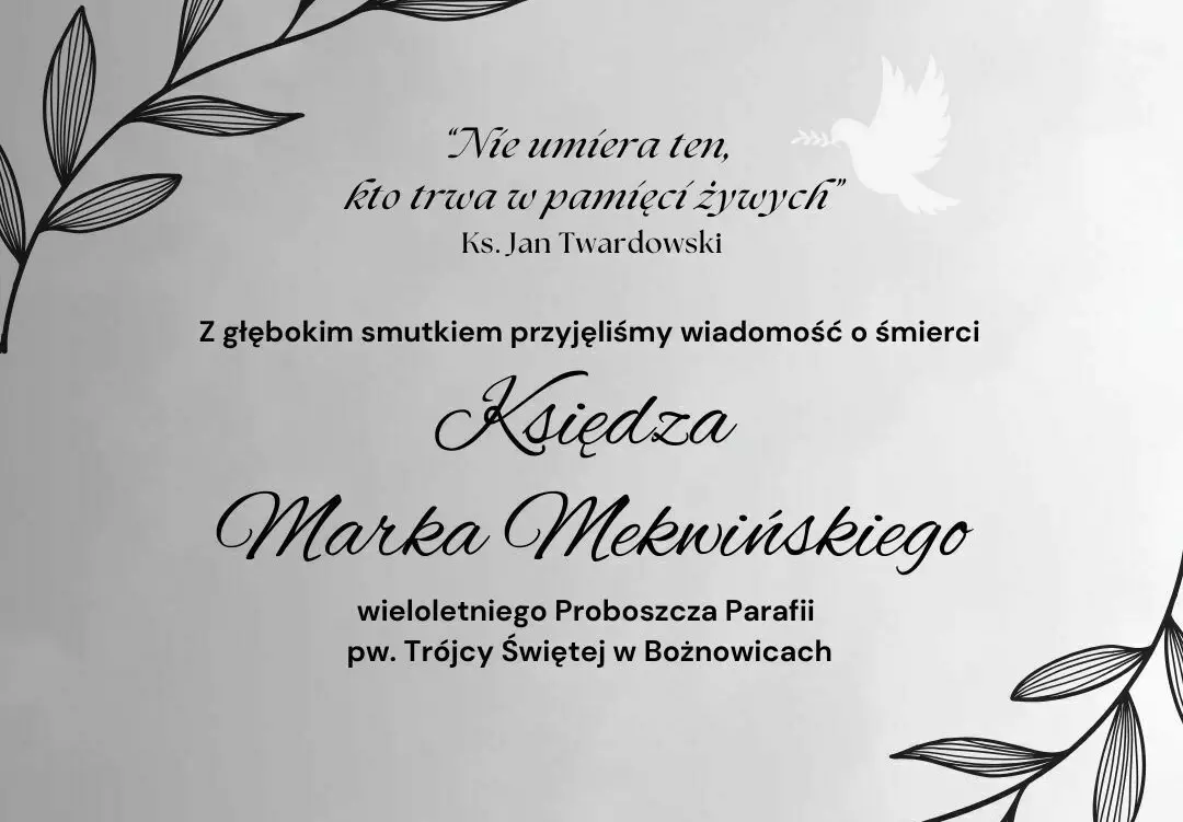 Zdjęcie do  