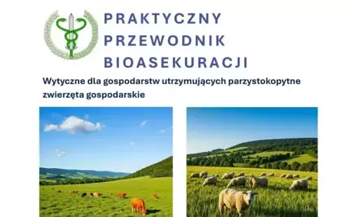 Zdjęcie artykułu z dnia 24-04-2025