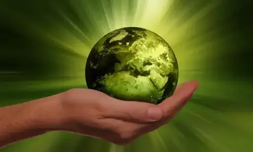 Zdjęcie artykułu z dnia 05-11-2025