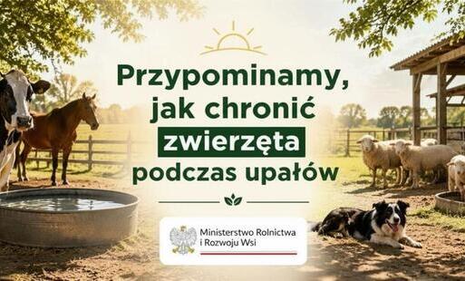 Grafika_zwierzęta_Ministerstwo Rolnictwa i Rozwoju Wsi