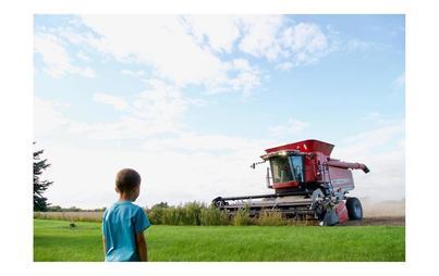 Zdjęcie do Bezpieczne wakacje w rodzinnych gospodarstwach rolnych - KRUS