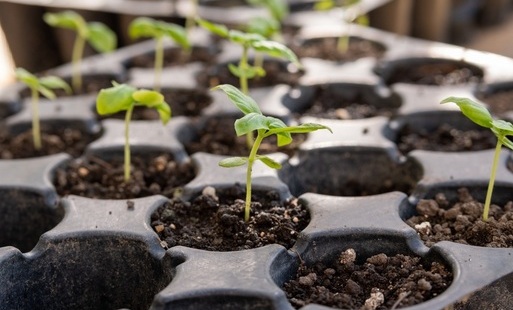 Zdjęcie artykułu z dnia 20-03-2026