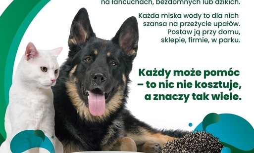 Plakat-kampania społeczna „Mały gest, wielka moc – wystaw miskę!”