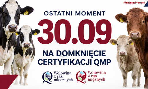 Szanowni Państwo,     w związku ze zbliżającym się terminem uzyskania certyfikatu QMP (30  września 2026 r.) przesyłamy w załączeniu grafikę i proponowaną treść  krótkiego komunikatu skierowanego do rolników.  Uprzejmie prosimy o zamieszczenie komunikatu na Państwa stronie  internetowej lub w social mediach — zależy nam, aby informacja dotarła do  jak największej liczby rolników przed upływem terminu.     W razie pytań pozostajemy do dyspozycji.     Z poważaniem     Katarzyna Wieczorek  Project Manager  Polskie Zrzeszenie Producentów Bydła Mięsnego  ul. Smulikowskiego 4  00-389 Warszawa  Tel: 515 575 705  Treść tej wiadomości i jej załączniki są poufne i prawnie chronione. Jeśli  nie jesteś właściwym adresatem (lub otrzymałeś tę wiadomość na skutek  pomyłki), prosimy o tym fakcie niezwłocznie poinformować nadawcę i usunąć  otrzymaną wiadomość. Kopiowanie, ujawnianie lub rozpowszechnianie załączonej informacji bez  zgody nadawcy jest zabronione.